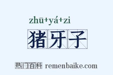 猪牙子是什么意思的图片